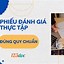 Mẫu Giấy Đánh Giá Thực Tập Sinh Nhật Bản