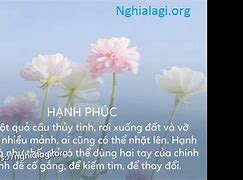 Phúc Thiện Nghĩa Là Gì