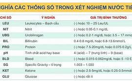 Protein Trong Nước Tiểu Bao Nhiều Là Bình Thường